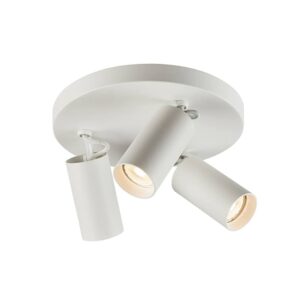 Adjustable / Directional Spotlights